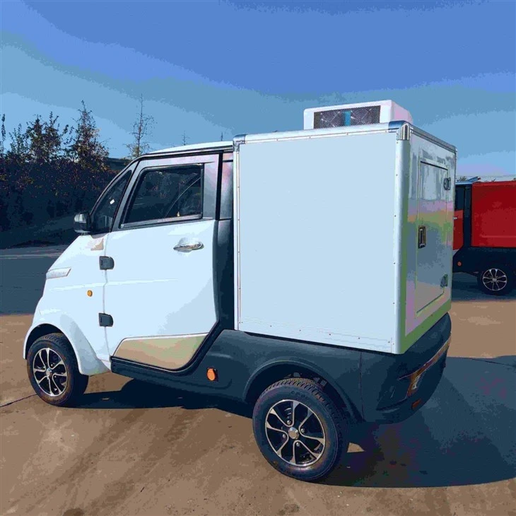EEC Certificate Mini Enclosed Cabin Electric Motorbike Pickup