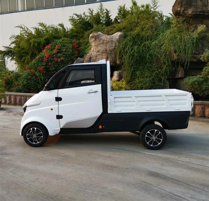 Electric Car 4 Wheel / Tricyle With Coc/eec/iso